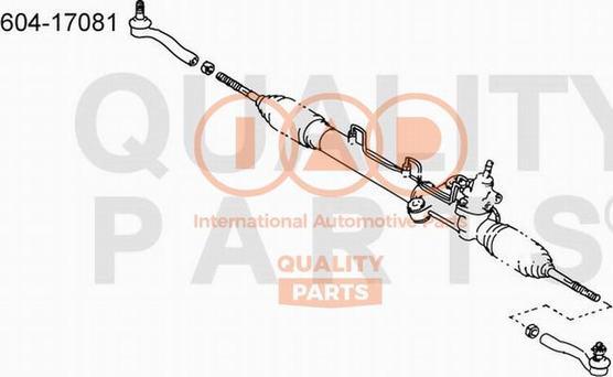 IAP QUALITY PARTS 604-17081 - Bağlama çubuğunun sonu furqanavto.az