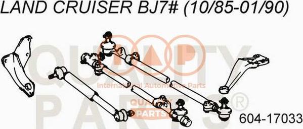 IAP QUALITY PARTS 604-17033 - Bağlama çubuğunun sonu furqanavto.az