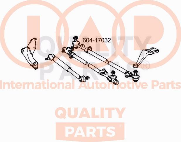 IAP QUALITY PARTS 604-17032 - Bağlama çubuğunun sonu furqanavto.az