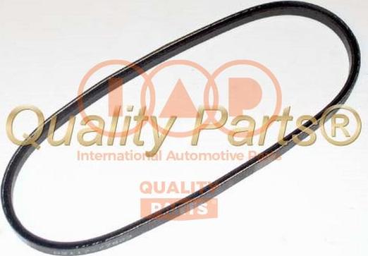 IAP QUALITY PARTS 140-13031 - V-kəmər furqanavto.az