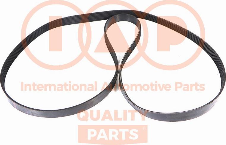 IAP QUALITY PARTS 140-17161 - V-yivli kəmər furqanavto.az