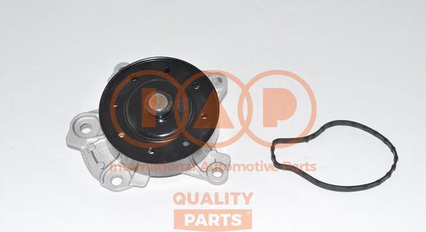 IAP QUALITY PARTS 150-17099E - Su nasosu furqanavto.az