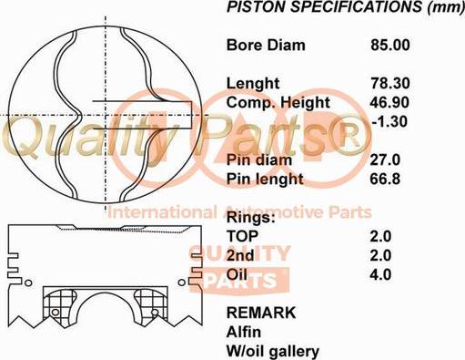 IAP QUALITY PARTS 100-13030 - Piston furqanavto.az