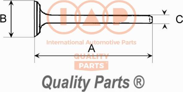 IAP QUALITY PARTS 110-13081 - Çıxış klapan furqanavto.az