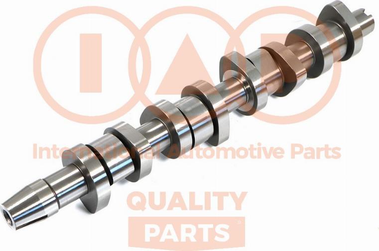 IAP QUALITY PARTS 124-50033 - Eksantrik mili furqanavto.az