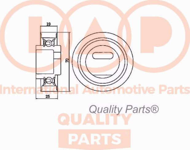 IAP QUALITY PARTS 12706033 - Gərginlik kasnağı, vaxt kəməri furqanavto.az