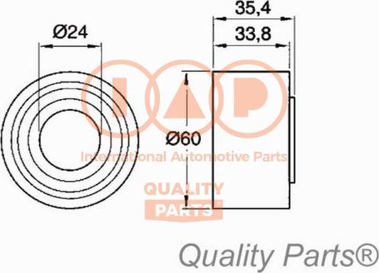 IAP QUALITY PARTS 12714072 - Gərginlik kasnağı, vaxt kəməri furqanavto.az