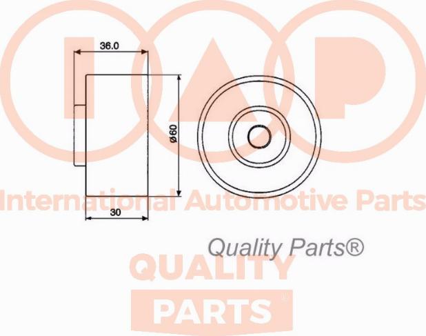 IAP QUALITY PARTS 12717051 - Gərginlik kasnağı, vaxt kəməri furqanavto.az