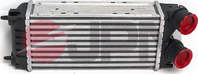 JPN 60C9273-JPN - Intercooler, şarj cihazı furqanavto.az