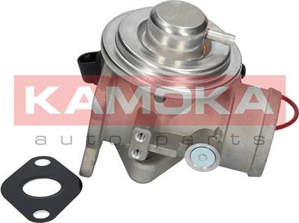 Kamoka 19025 - EGR Valf furqanavto.az