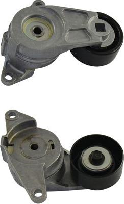 Kavo Parts DTP-1010 - Yönləndirmə / Bələdçi Kasnağı, v-yivli kəmər furqanavto.az