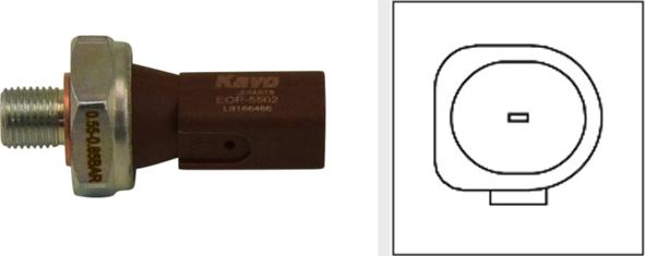 Kavo Parts EOP-5502 - Датчик, давление масла furqanavto.az