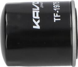 Kavo Parts TF-1975 - Yanacaq filtri furqanavto.az