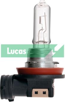 LUCAS LLB709 - Lampa, işıqfor furqanavto.az