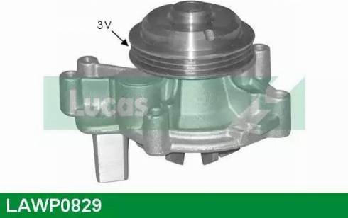 Lucas Engine Drive LAWP0829 - Su nasosu furqanavto.az