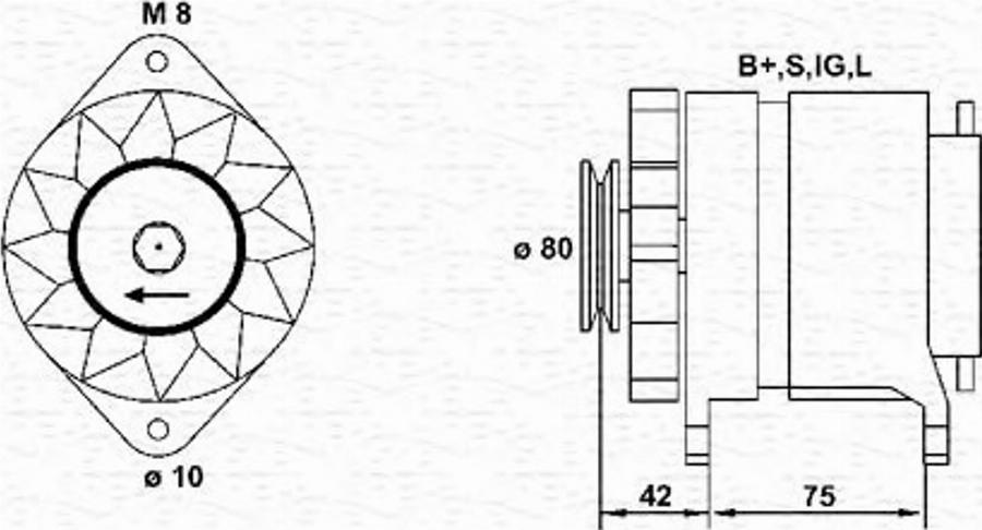 Magneti Marelli 943355076010 - Alternator furqanavto.az