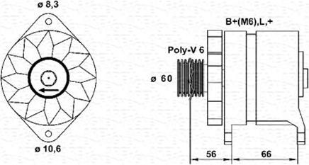 Magneti Marelli 943356949010 - Alternator furqanavto.az