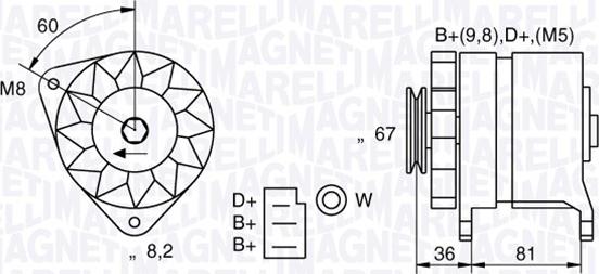 Magneti Marelli 054022384010 - Alternator furqanavto.az