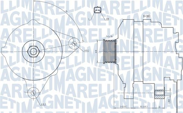 Magneti Marelli 063731665010 - Alternator furqanavto.az