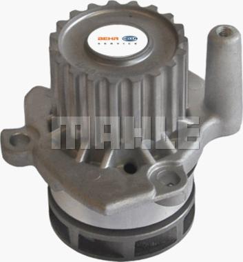 MAHLE CP 25 000P - Su nasosu furqanavto.az