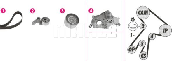 MAHLE CPK 112 000P - Su Pompası və Vaxt Kəməri Dəsti furqanavto.az