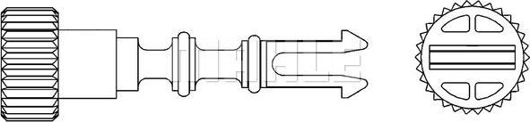 MAHLE CRX 52 000P - Bolt, radiator qapağı www.furqanavto.az