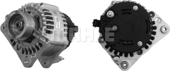 MAHLE MG 254 - Alternator furqanavto.az