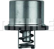 MAHLE THD 1 71 - Termostat, soyuducu furqanavto.az