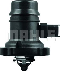 MAHLE TM 37 103 - Termostat, soyuducu furqanavto.az