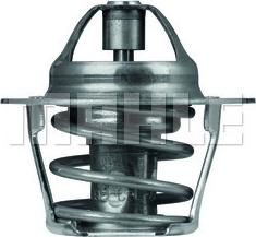 MAHLE TX 61 83 - Termostat, soyuducu furqanavto.az