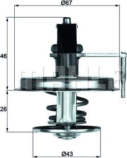 MAHLE TX 22 84D - Termostat, soyuducu furqanavto.az