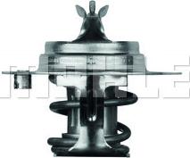 MAHLE TX 7 88D - Termostat, soyuducu furqanavto.az