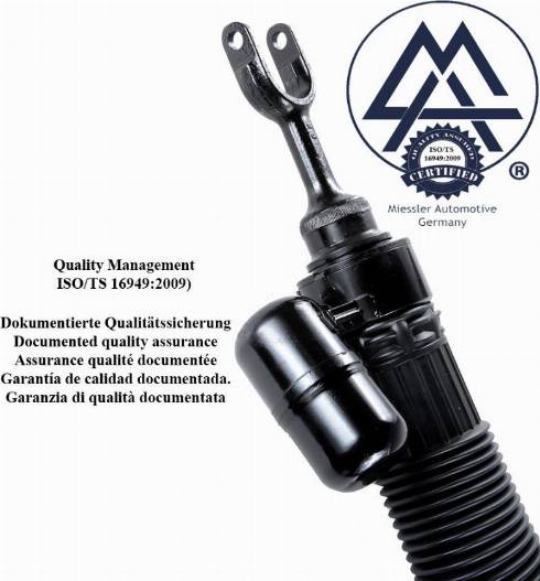 MiesslerAutomotive FBNL-002S-6895 - Hava yaylı dayaq furqanavto.az