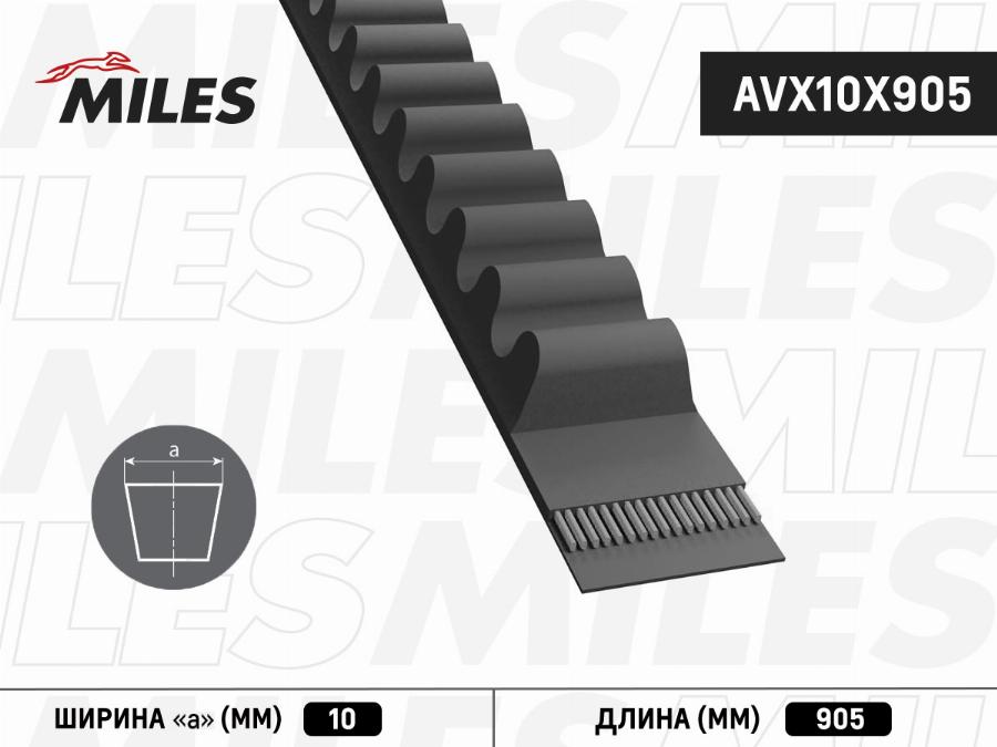 Miles AVX10X905 - V-kəmər furqanavto.az