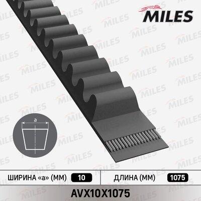 Miles AVX10X1075 - V-kəmər furqanavto.az