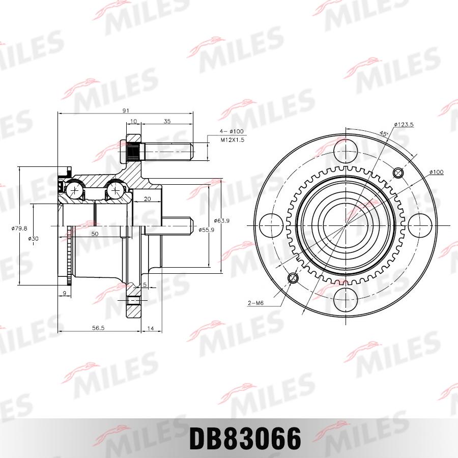 Miles DB83066 - Təkər qovşağı, podşipnik dəsti furqanavto.az