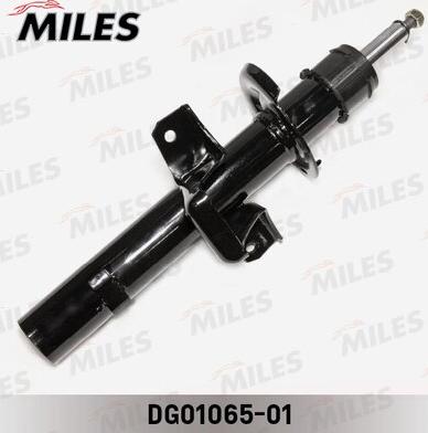 Miles DG01065-01 - Amortizator furqanavto.az