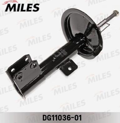 Miles DG11036-01 - Amortizator furqanavto.az