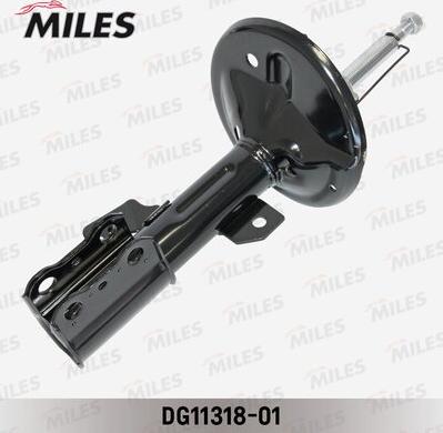 Miles DG11318-01 - Amortizator furqanavto.az