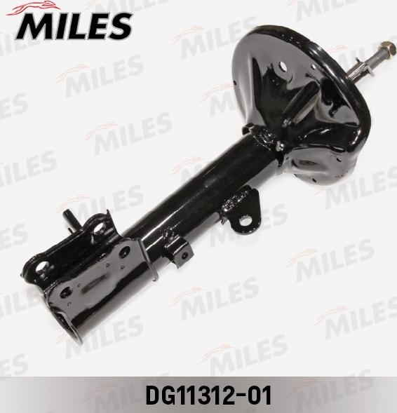 Miles DG11312-01 - Amortizator furqanavto.az