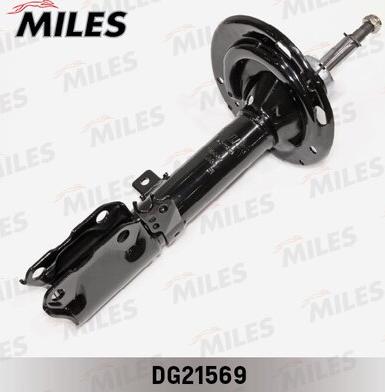 Miles DG21569 - Amortizator furqanavto.az