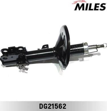 Miles DG21562 - Amortizator furqanavto.az