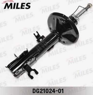 Miles DG21024-01 - Amortizator furqanavto.az