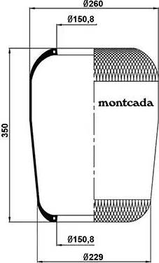 Montcada 0161350 - Körük, pnevmatik asqı furqanavto.az