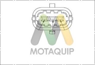 Motaquip LVCP246 - Sensor, eksantrik mili mövqeyi furqanavto.az