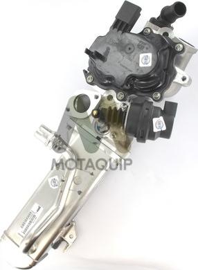 Motaquip LVER128 - EGR Valf furqanavto.az