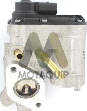 Motaquip LVER241 - EGR Valf furqanavto.az