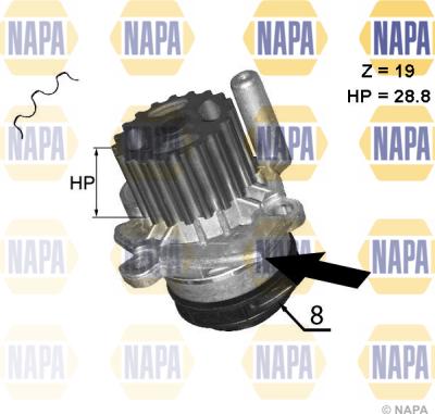 NAPA NWP1045 - Su nasosu furqanavto.az