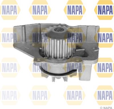 NAPA NWP1135 - Su nasosu furqanavto.az