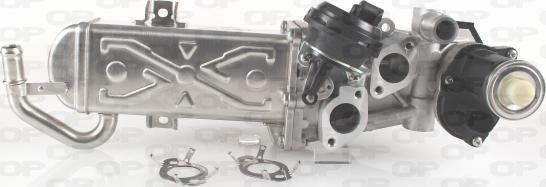 Open Parts EGR3035.00 - EGR Valf furqanavto.az